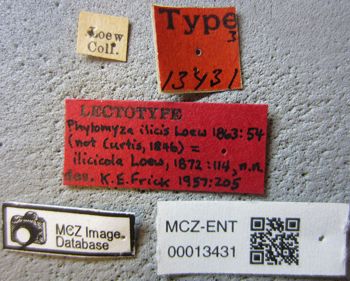 Media type: image;   Entomology 13431 Aspect: labels